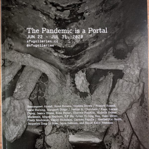 The Pandemic is a Portal