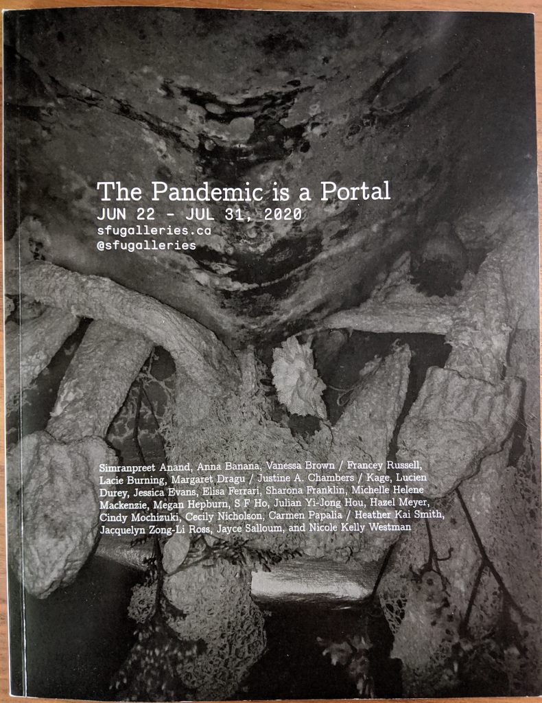 The Pandemic is a Portal