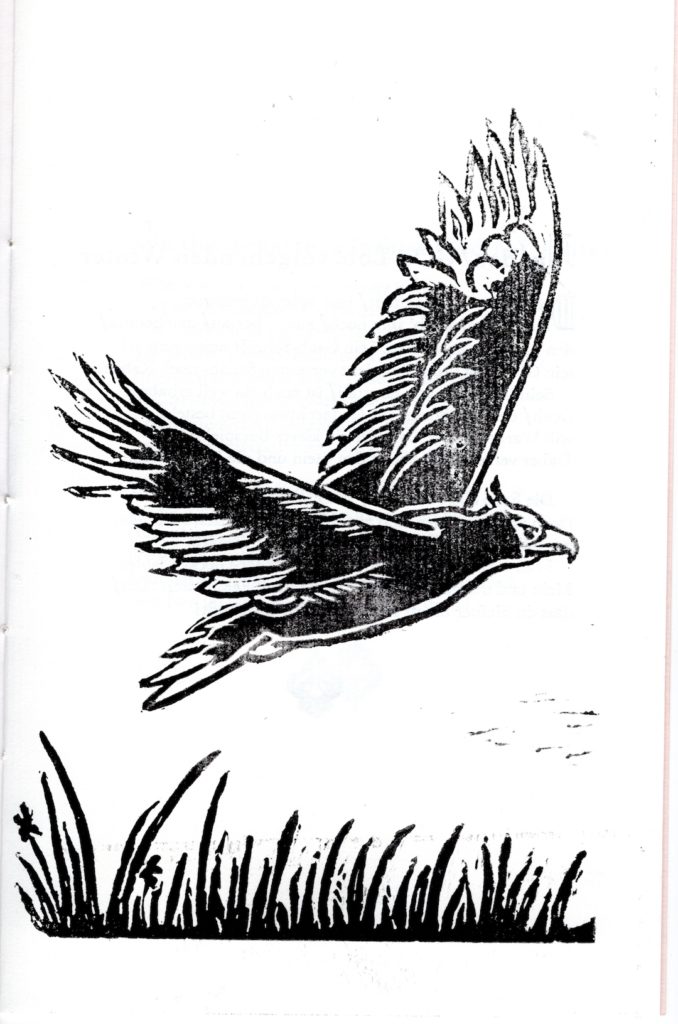 Hand-cut lino print image of an eagle in flight above grass or reeds. Black ink on white paper