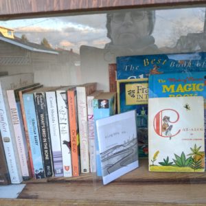 An image of a little free library with a clear glass door. The books are visible, including a set of RML books. The window captures the reflection of the woman taking the picture with a cell phone.