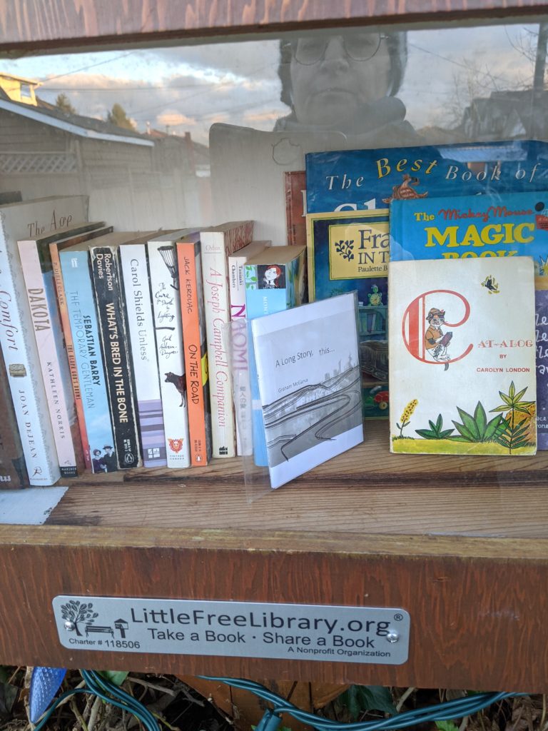 An image of a little free library with a clear glass door. The books are visible, including a set of RML books. The window captures the reflection of the woman taking the picture with a cell phone.