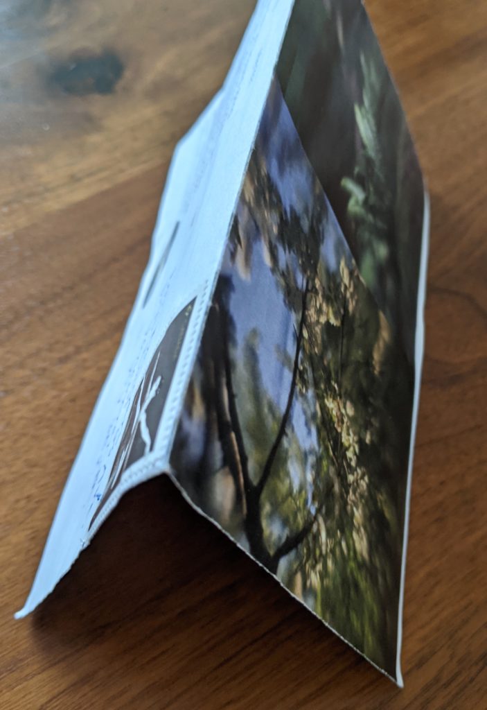 A full clour flyer is seen folded like a tent and placed on a wooden table.