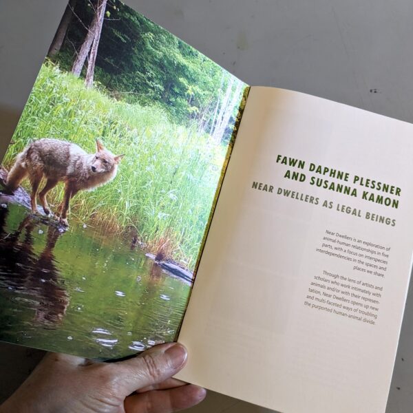 The exhibition catalogue, in the form of a stapled brochure, is seen open to its first page. The artists' names (Fawn Daphne Plessner and Susanna Kamon) are printed on the right side along with the title, "Near Dwellers as Legal Beings". On the right the inside cover features an image of a coyote at the edge of a forest-lined body of water.