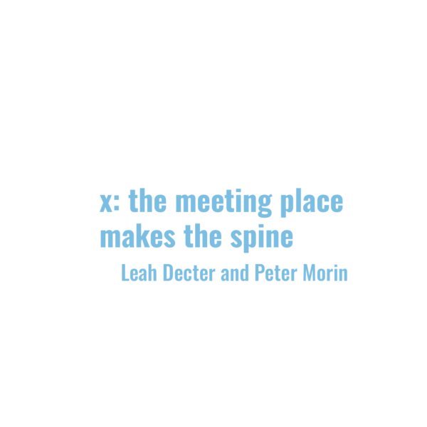 The cover of x: the meeting place makes the spine by Peter Morin and Leah Decter is white with the title and artists' names in pale blue ink on a white background.