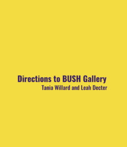 The cover of Directions to BUSH Gallery is Goldenrod yellow with the title and authors listed in dark purple.