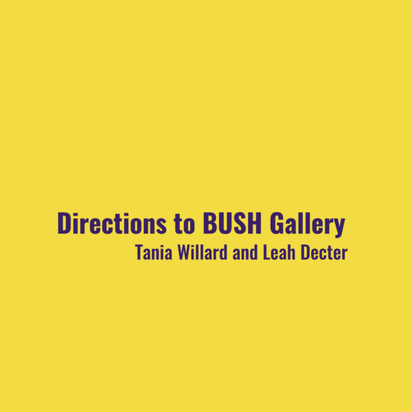 The cover of Directions to BUSH Gallery is Goldenrod yellow with the title and authors listed in dark purple.