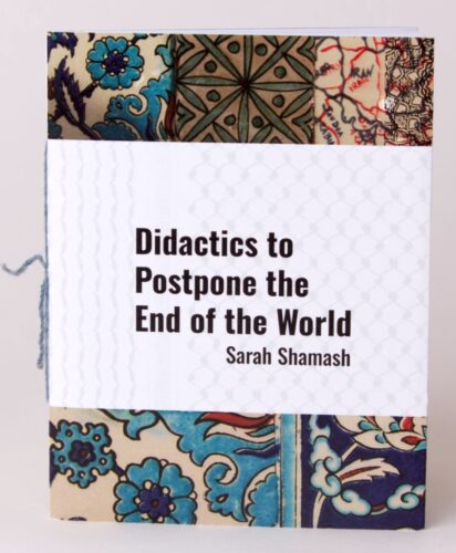 Cover of Didactics to Postpone the End of the World by Sarah Shamash