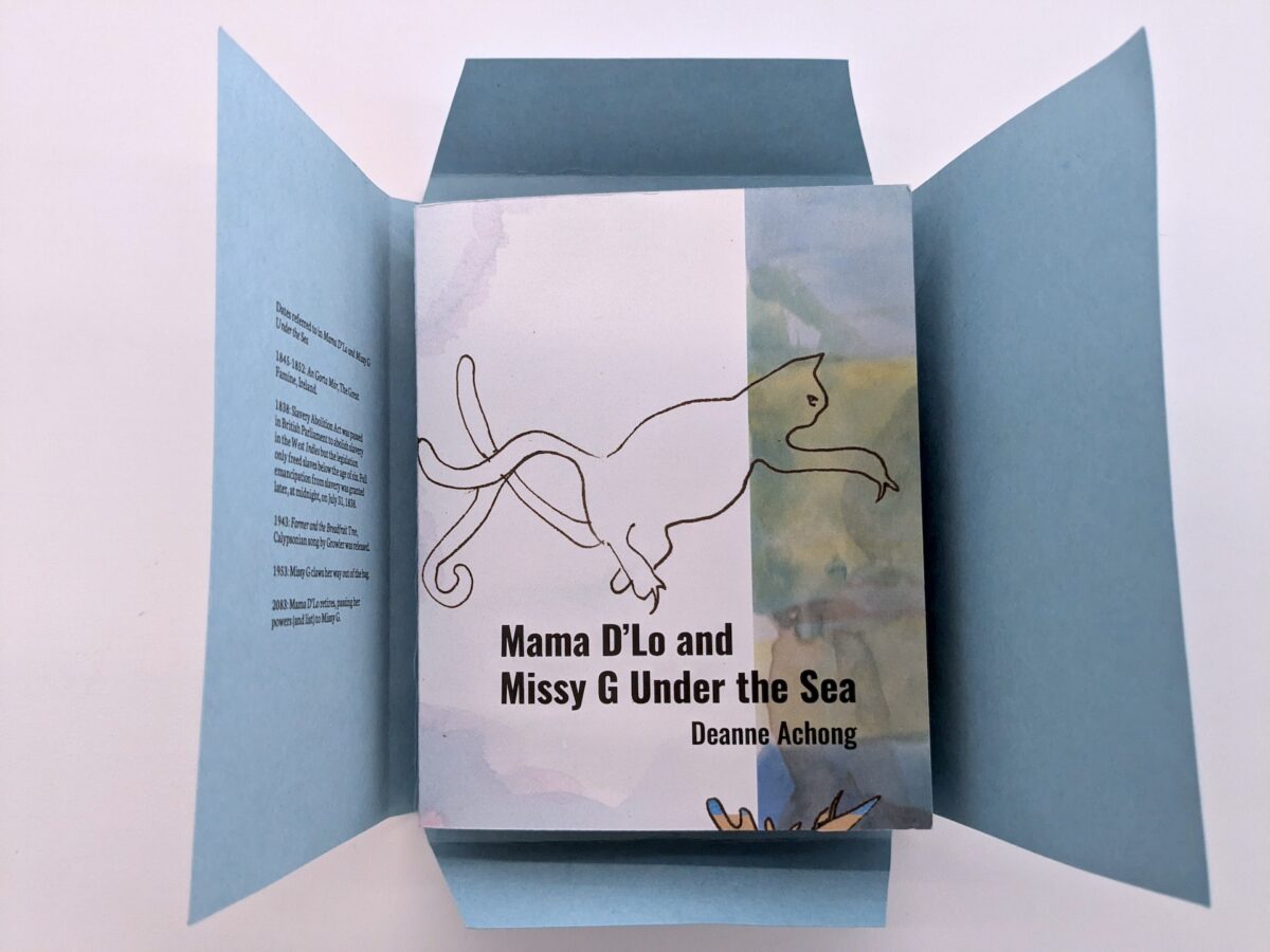 Cover of book inside blue envelope.