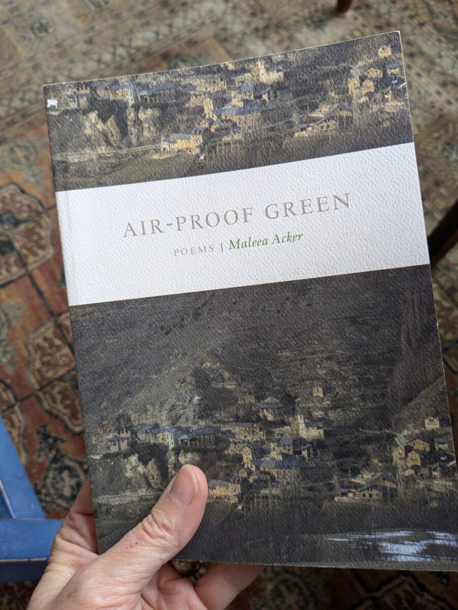 The cover of Air-proof Garden by Maleea Acker.