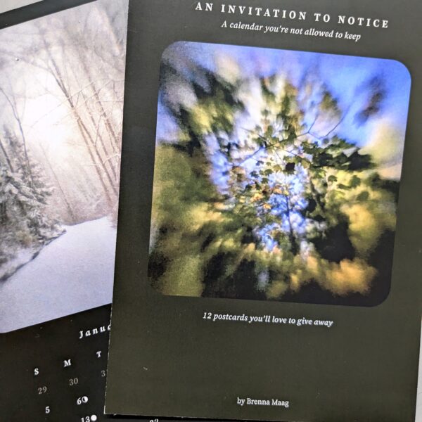 Two pages of Brenna Maag's An Invitation TO Notice" desk calendar are spread out on a table. They each show blurred images of trees and foliage from a pin hole camera exposure. One is a winter scene and one is of green leaves in summer.