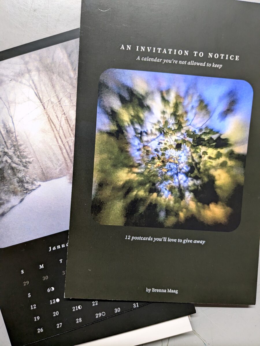 Two pages of Brenna Maag's An Invitation TO Notice" desk calendar are spread out on a table. They each show blurred images of trees and foliage from a pin hole camera exposure. One is a winter scene and one is of green leaves in summer.